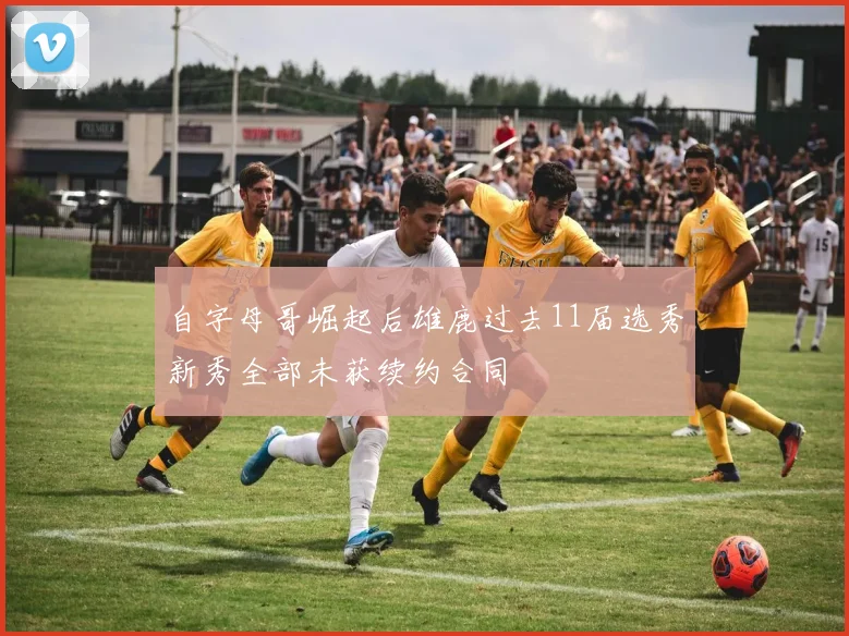 自字母哥崛起后雄鹿过去11届选秀新秀全部未获续约合同