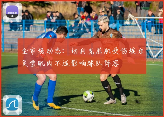 全市场动态：切利克屈肌受伤埃尔莫索肌肉不适影响球队阵容