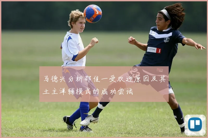 马德兴分析邵佳一受欢迎原因及其土主洋辅模式的成功尝试